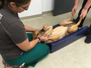 Attachment 6022e7095d4bb6187192a277