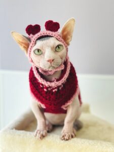 Attachment 62100b9e11b52f4f683f472b