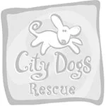 City Dogs Rescue