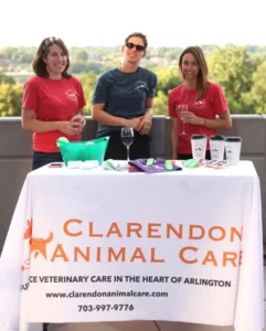 Clarendon Animal Veterinary Care Arlington Community