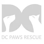 Dc Paws Rescue