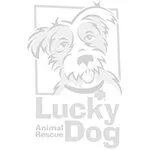 Lucky Dog Animal Rescue