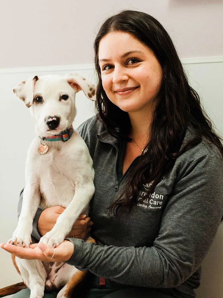 samantha-klonaris-lvt-clarendon-animal-care-vet-clinic