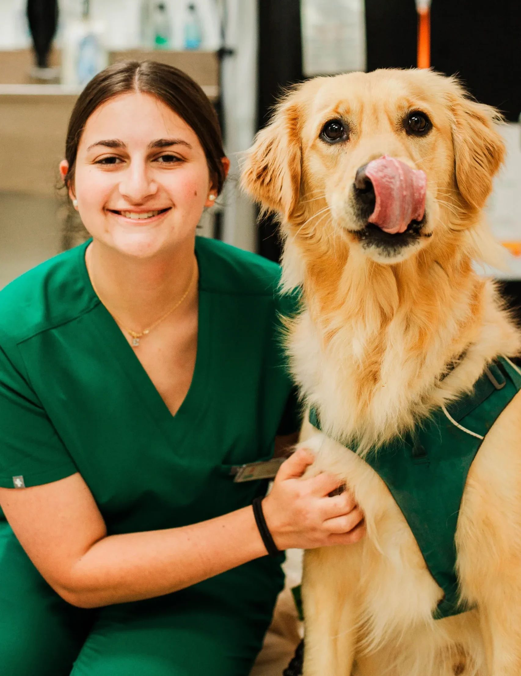 ella-abend-clarendon-animal-care-vet-clinic